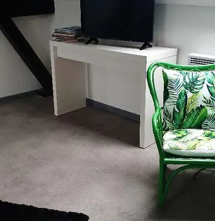 Apartman With One Bedroom In Schiltigheim
